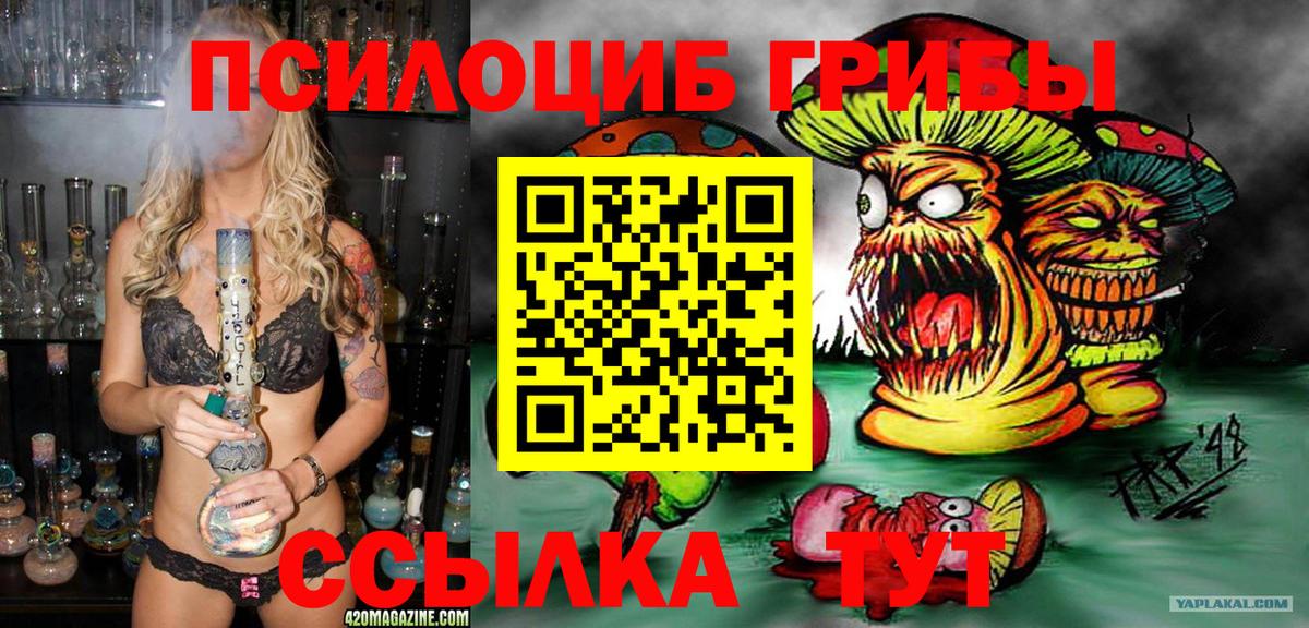 Псилоцибиновые грибы Psilocybe Энгельс